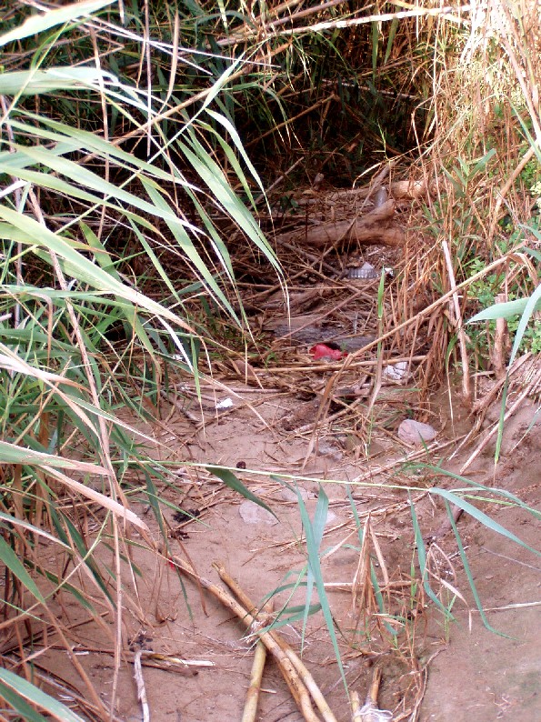 I fossi e lo stagno di Baratti (Piombino - LI)